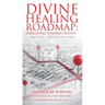 Divine Healing Roadmap: Navigating Towards Destiny: Another Chance to Serve