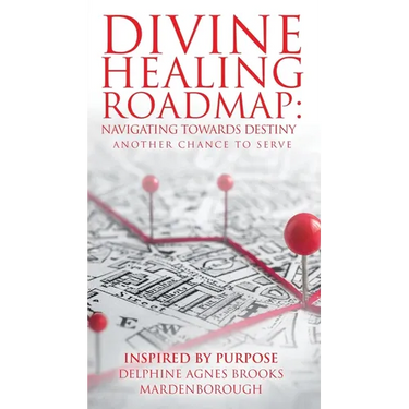 Divine Healing Roadmap: Navigating Towards Destiny: Another Chance to Serve