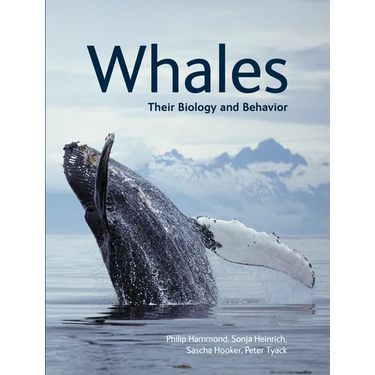 Whales: Their Biology and Behavior
