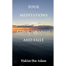 Four Meditations on Consciousness and Exile