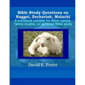 Bible Study Questions on Haggai, Zechariah, Malachi: A workbook suitable for Bible classes, family studies, or personal Bible study
