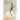 The Six-Lined Racerunner: A Memoir