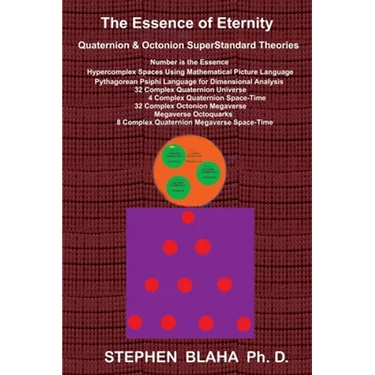 The Essence of Eternity: Quaternion & Octonion SuperStandard Theories