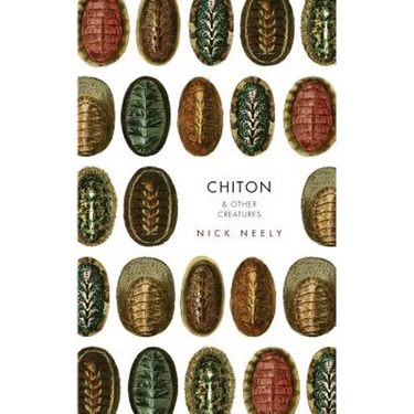 Chiton & Other Creatures