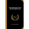 Little Pilgrimages Among Old New England Tnns