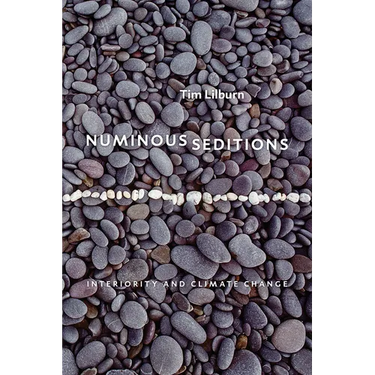 Numinous Seditions: Interiority and Climate Change