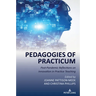 Pedagogies of Practicum: Post-Pandemic Reflections on Innovation in Practice Teaching