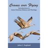 Cranes Ever Flying