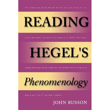 Reading Hegel's Phenomenology