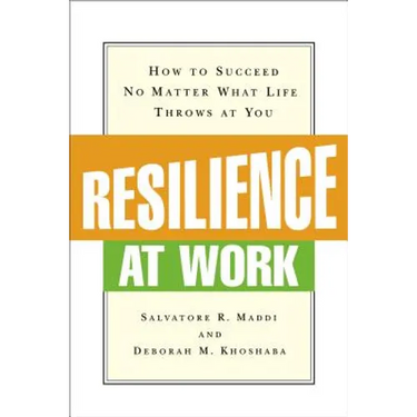 Resilience at Work: How to Succeed No Matter What Life Throws at You