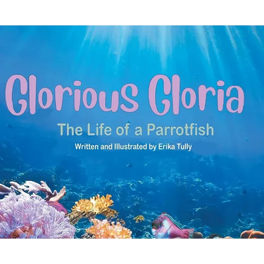 Glorious Gloria: The Life of A Parrotfish