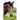 Let's Hear It for the Horses