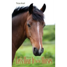 Let's Hear It for the Horses