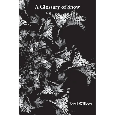 A Glossary of Snow
