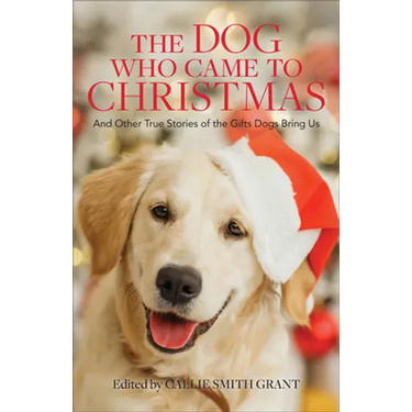Dog Who Came to Christmas