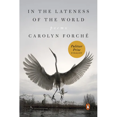 In the Lateness of the World: Poems