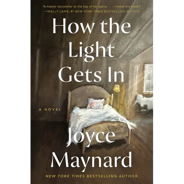 How the Light Gets in