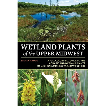 Wetland Plants of the Upper Midwest