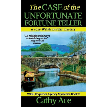 The Case of the Unfortunate Fortune Teller: A WISE Enquiries Agency cozy Welsh murder mystery