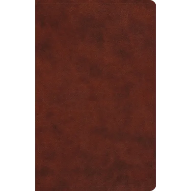 ESV Large Print Value Thinline Bible (Trutone, Chestnut)