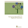 Numerical Algorithms in Algebraic Geometry
