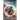 Uroboros Saga Book 9