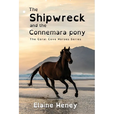 The Shipwreck and the Connemara Pony - Dyslexia Friendly