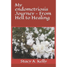 My endometriosis Journey - From Hell to Healing