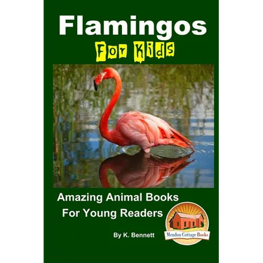 Flamingos For Kids Amazing Animal Books For Young Readers