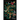 Cursed Ever After