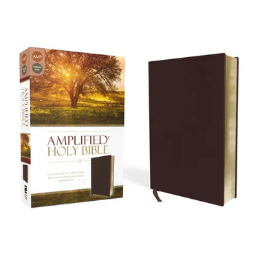 Amplified Bible-Am: Captures the Full Meaning Behind the Original Greek and Hebrew