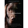 The Wrong Dog Dream: A True Romance