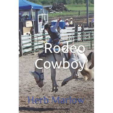 Rodeo Cowboy