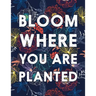Bloom Where You Are Planted: College Ruled Academic Notebook