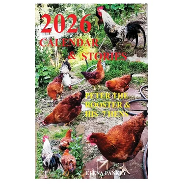 Calendar 2026 & Stories. Peter the Rooster & His 7 Hens"