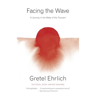 Facing the Wave: A Journey in the Wake of the Tsunami