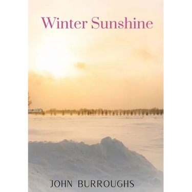 Winter Sunshine