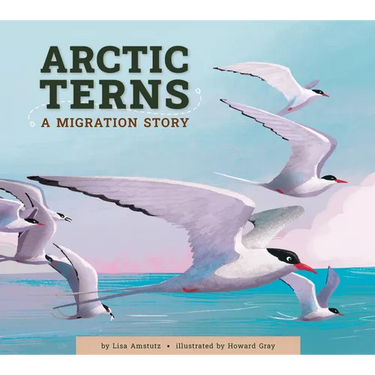 Arctic Terns: A Migration Story