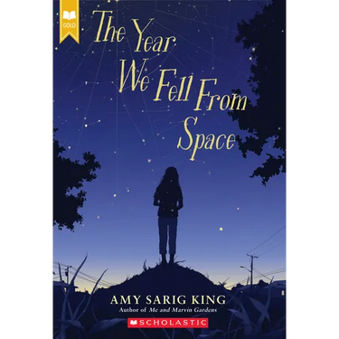 The Year We Fell from Space (Scholastic Gold)