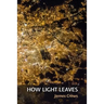 How Light Leaves