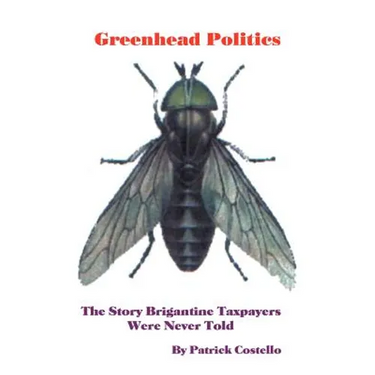 Greenhead Politics: The Story Brigantine Taxpayers Were Never Told