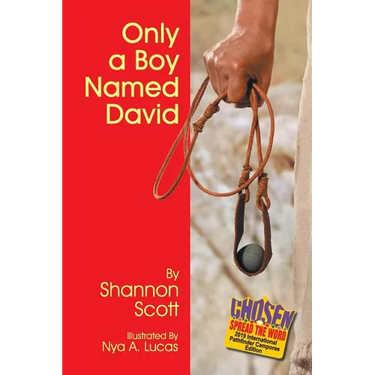 Only a Boy Named David