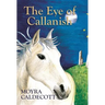 The Eye of Callanish