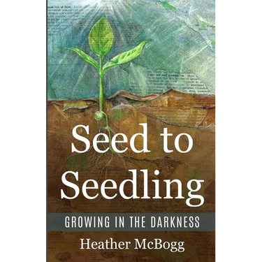 Seed to Seedling, Growing in the Darkness