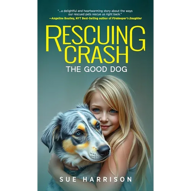 Rescuing Crash, the Good Dog