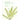 The Other Plants: Small Lessons about Some Non-Flowering Plants: A Coloring Book