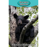 Black Bears