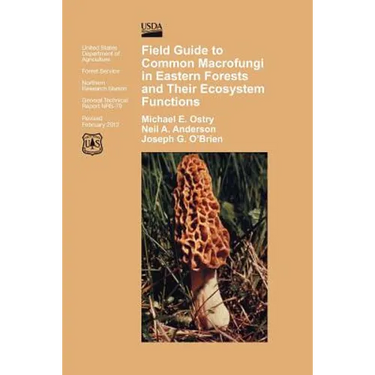 Field Guide to Common Macrofungi in Eastern Forests and Their Ecosystem Function