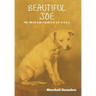 Beautiful Joe