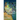 Ocean of Possibilities